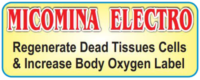 MICOMINA ELECTRO