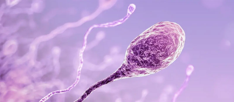 infertility-sexual-health-treatment