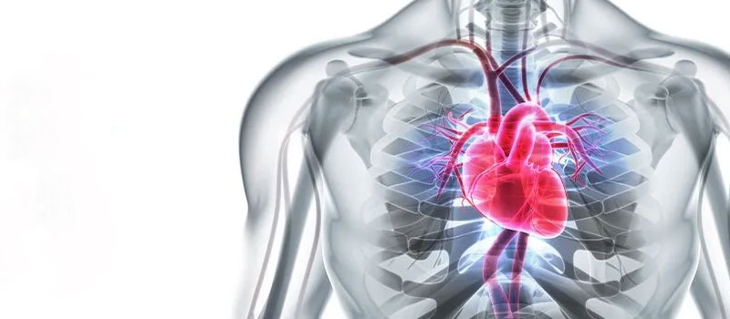 nerve-vein-heart-disease-treatment